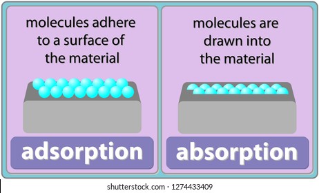 Adsorption And Absorption