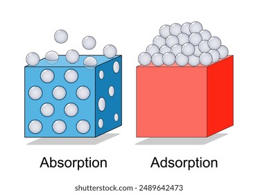 Adsorption and Absorption. Physical or chemical phenomenon. Absorption is process in which atoms, molecules or ions enter the liquid or solid material. Adsorption is adhesion of atoms, ions, molecules