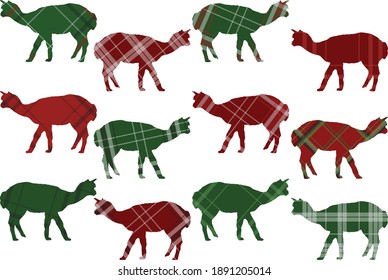 Adult alpaca with buffalo plaid silhouettes set on white background