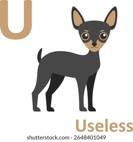 Adult alphabet, joke, letter U, useless