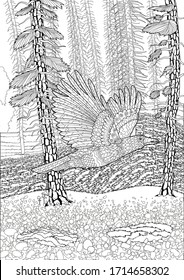 Adult anti stress coloring page with flying crow in the coniferous forest