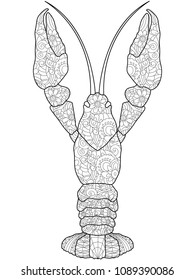 Adult anti-stress coloring crawfish. Vector illustration of black lines doodle, white background