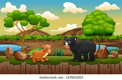 Adult bear and baby bear at the open zoo