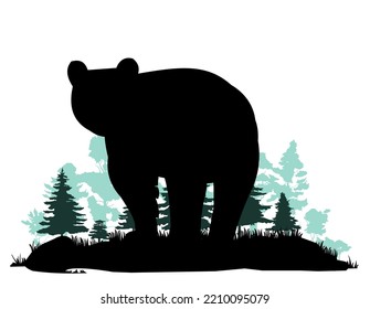 Adult bear. Wild animals. Silhouette figures. Glade in coniferous northern forest taiga. Isolated on white background. Vector.