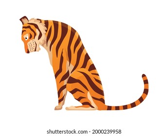 Adult big tiger. Cute animal from wildlife. Big cat. Predatory mammal. Painted cartoon animal design. Flat vector illustration isolated on white background