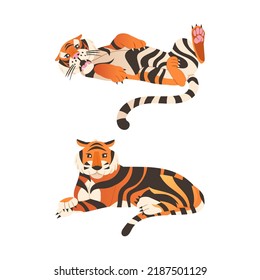 Adult Big Tiger with Striped Orange Fur as Largest Living Cat Species Vector Set