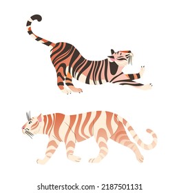 Adult Big Tiger with Striped White and Orange Fur as Largest Living Cat Species Vector Set
