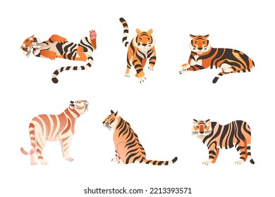 Adult Big Tiger with Striped White and Orange Fur as Largest Living Cat Species Vector Set