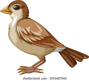 An adult bird on white background illustration