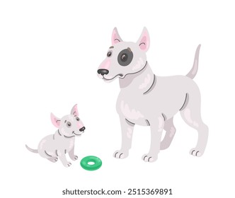 Adult bull terrier dog and funny puppy. In cartoon style. Isolated on white background. Vector flat illustration.