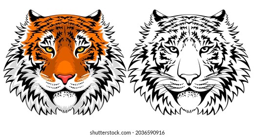 Adult calm tiger face. Colorful and monocolor graphic. Vector illustration.