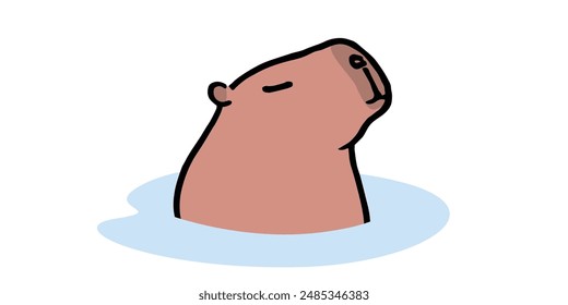 An adult Capybara enjoying the hot springs