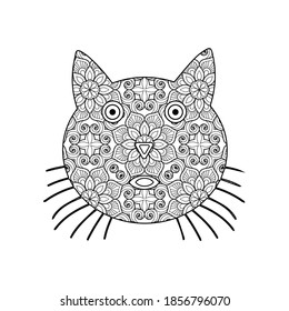 adult cat face hand drawing illustration