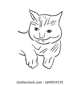 Adult cat in the form of a sketch made with a black brush