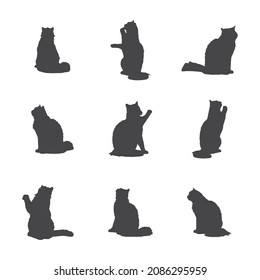 Adult cat sitting silhouette set made from picture of fluffy cats