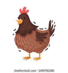 Adult chicken. Vector illustration on a white background.