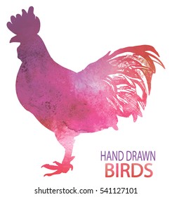 Adult cock. A beautiful cock with a bushy tail and a large crest. Drawing by hand in vintage style.