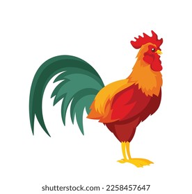 Adult Cock with Long Fluffy Tail, Red Cockscomb and Wattles. Widespread Poultry. Male Domestic Chicken, Bright Rooster Bird Isolated Icon on White Background. Cartoon Vector Illustration