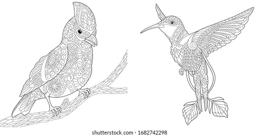 Download Bird Coloring Book High Res Stock Images Shutterstock