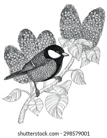 Adult coloring book detailed page with tit on a branch of lilac in vintage decorative style