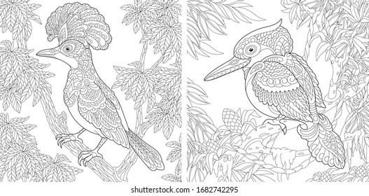 Adult Coloring Book. Hoopoe Bird And Australian Laughing Kookaburra Or Kingfisher. Line Art Design For Antistress Colouring Pages In Zentangle Style. Vector Illustration. 