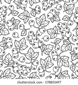 Adult coloring book page design with currant  berries seamless pattern. Floral seamless pattern. Vector illustration