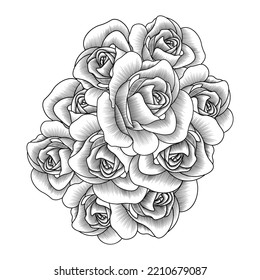 adult coloring book page of pink rose illustration with leaves and pencil sketch drawing. rose illustration doodle style art flowers of blooming petals. 