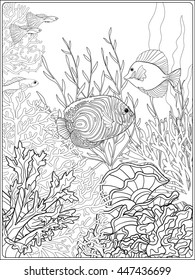 Adult coloring book  Coloring page and underwater world coral reef  Corals  fish   seaweeds   Outline vector illustration 