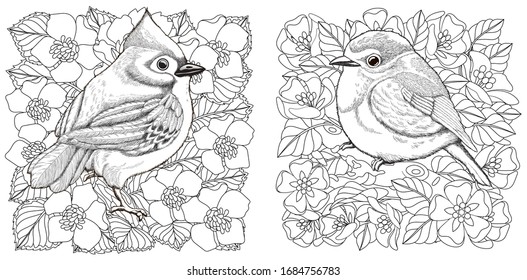 Download Cardinal Coloring Adults Hd Stock Images Shutterstock