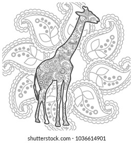 Adult coloring book,page a giraffe with ornamental background for relaxing stress release method. Zen art style illustration.