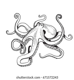 Adult coloring page Octopus illustration