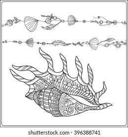 Adult coloring page with sea shells in boho style. Outline drawing. Vector illustration.