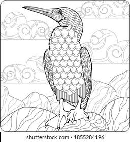 Adult coloring page book