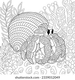 Adult colouring page with a hermit crab. Outline intricate underwater design.