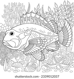 Adult colouring page with a ruffe fish. Outline intricate underwater design.