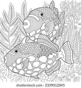 Adult colouring page with triggerfish fishes. Outline intricate underwater design.