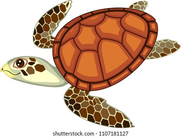 Adult cute cartoon swimming sea turtle on white background
