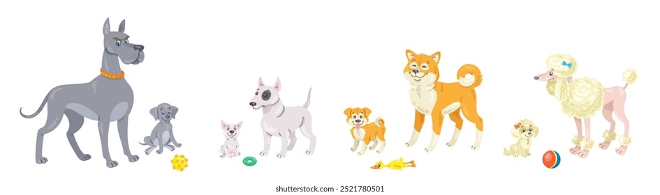 Cães e cachorros adultos. Conjunto de raças diferentes. Grande dinamarquês, Bull Terrier, Akita Inu e Poodle. Em estilo cartoon. Isolado no fundo branco. Ilustração plana vetorial.