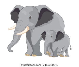 Adult elephant with young elephant in cartoon style on white background illustration.