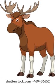 Adult funny elk