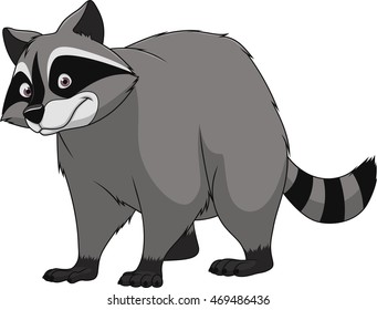 Adult funny raccoon