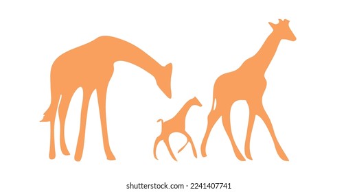 Adult giraffe and baby giraffe. Realistic drawing, animals. Vector illustration. Isolated on white background.