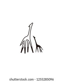 adult giraffes and small giraffes