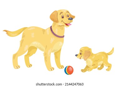 Adult golden retriever and funny puppy playing with a ball. In cartoon style. Isolated on white background. Vector flat illustration.