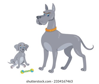 Adult Great Dane dog and funny puppy. In cartoon style. Isolated on white background. Vector flat illustration.