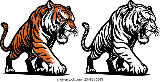 adult growling crouching tiger, vector drawing