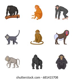 Adult individuals of monkeys icons set. Cartoon set of 9 adult individuals of monkeys vector icons for web isolated on white background