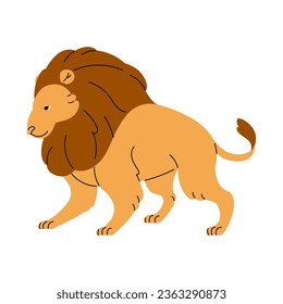 Adult male lion. King of beasts standing. Wild savannah animal, big cat with furry mane. African predator walking, majestic savanna habitant. Flat isolated vector illustration on white background