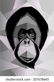Adult monkey. Vector illustration of orangutan