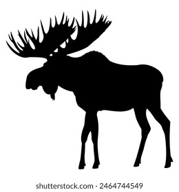 adult moose go black silhouette